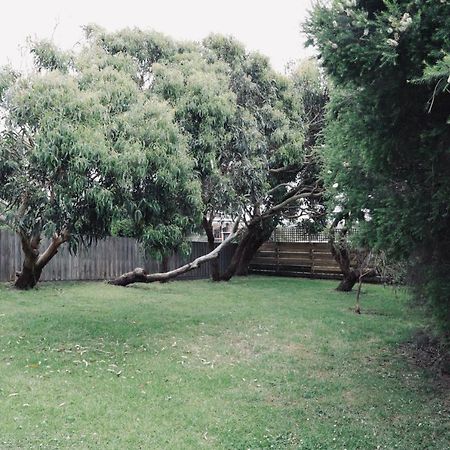 Red Ceder Cottage - Great Ocean Road - Port Campbell Ngoại thất bức ảnh